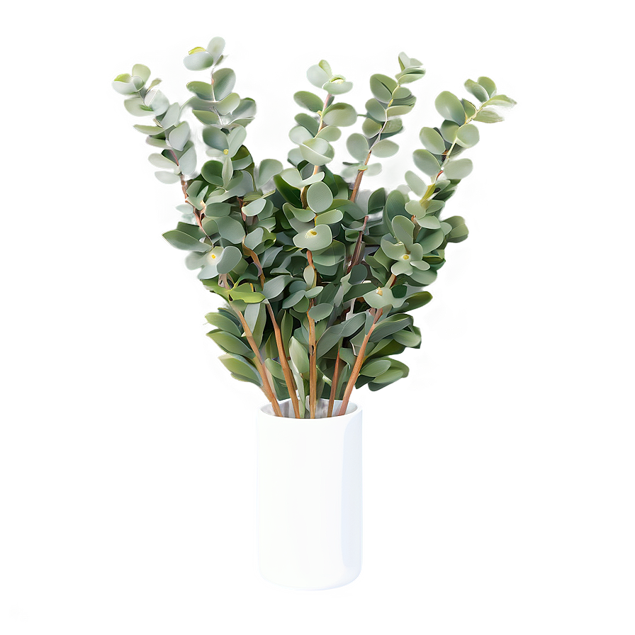 Eucalyptus in Vase PNG 8 PNG image with a transparent background, free high-resolution download