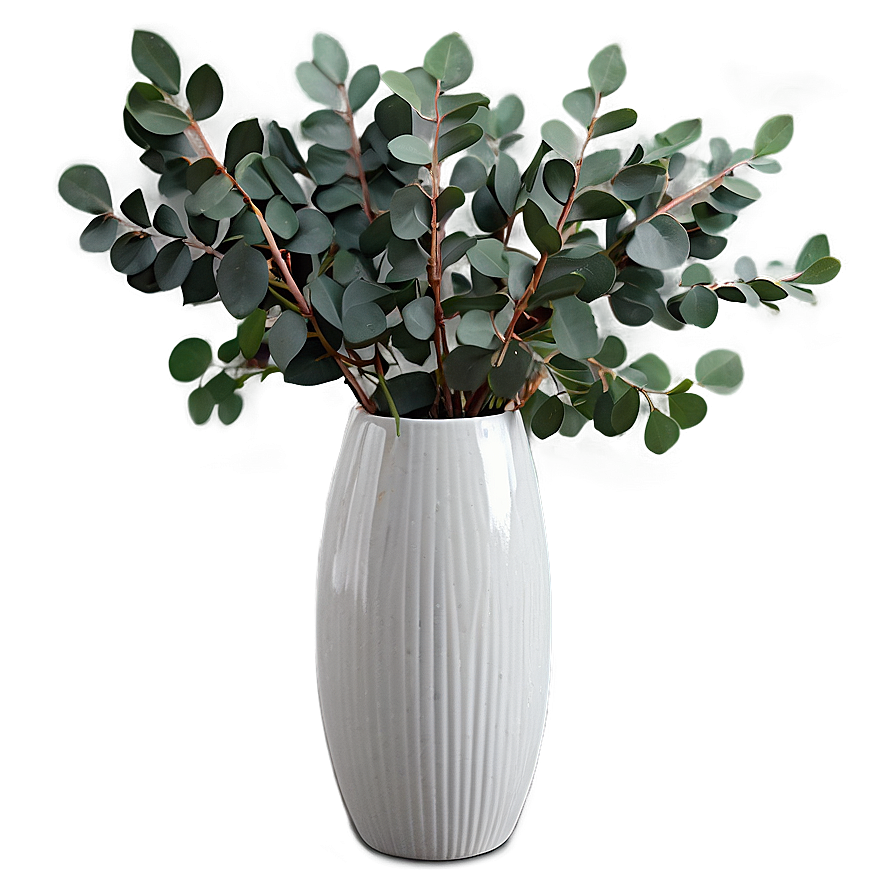 Eucalyptus in Vase PNG gsj76 PNG image with a transparent background, free high-resolution download