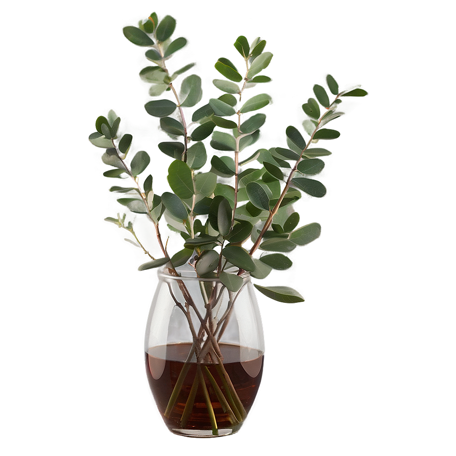 Eucalyptus in Vase PNG lqh77 PNG image with a transparent background, free high-resolution download