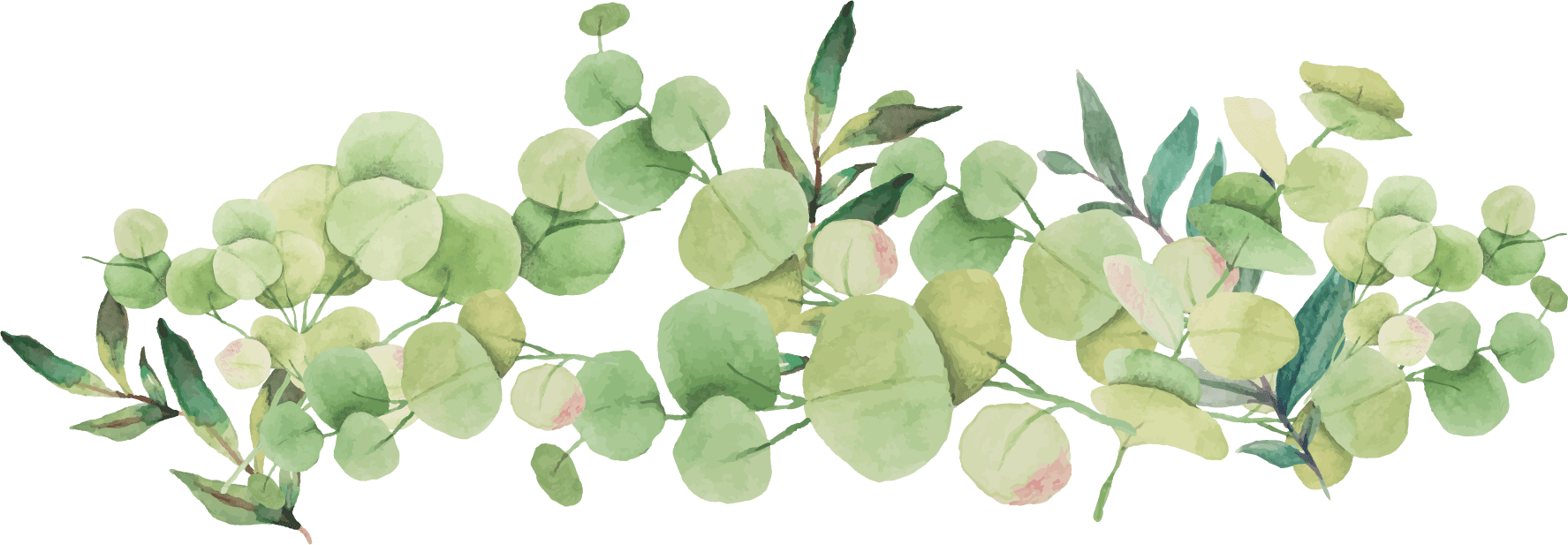 Eucalyptus Leaves Border Design