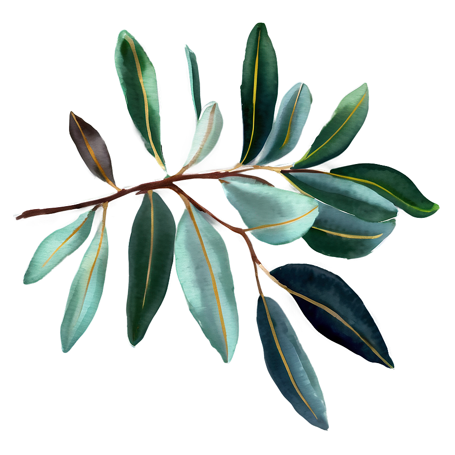 Eucalyptus Sprig Watercolor Png Isn