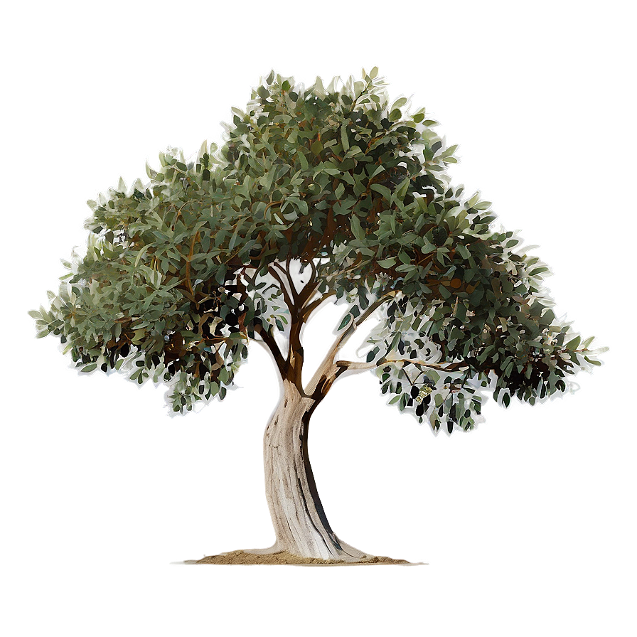 Eucalyptus Tree Silhouette PNG enp64 PNG image with a transparent background, free high-resolution download
