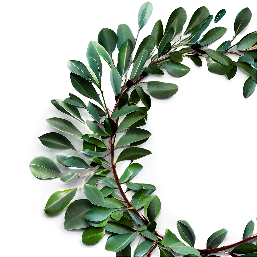 Eucalyptus Wreath PNG ika25 PNG image with a transparent background, free high-resolution download
