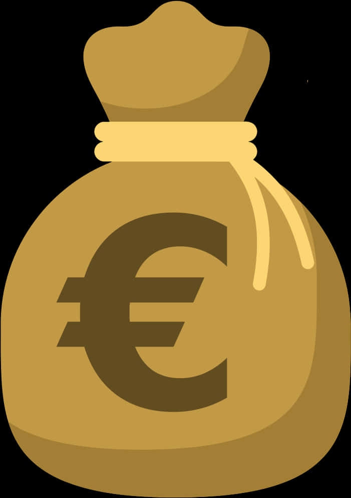 Euro Money Bag Icon