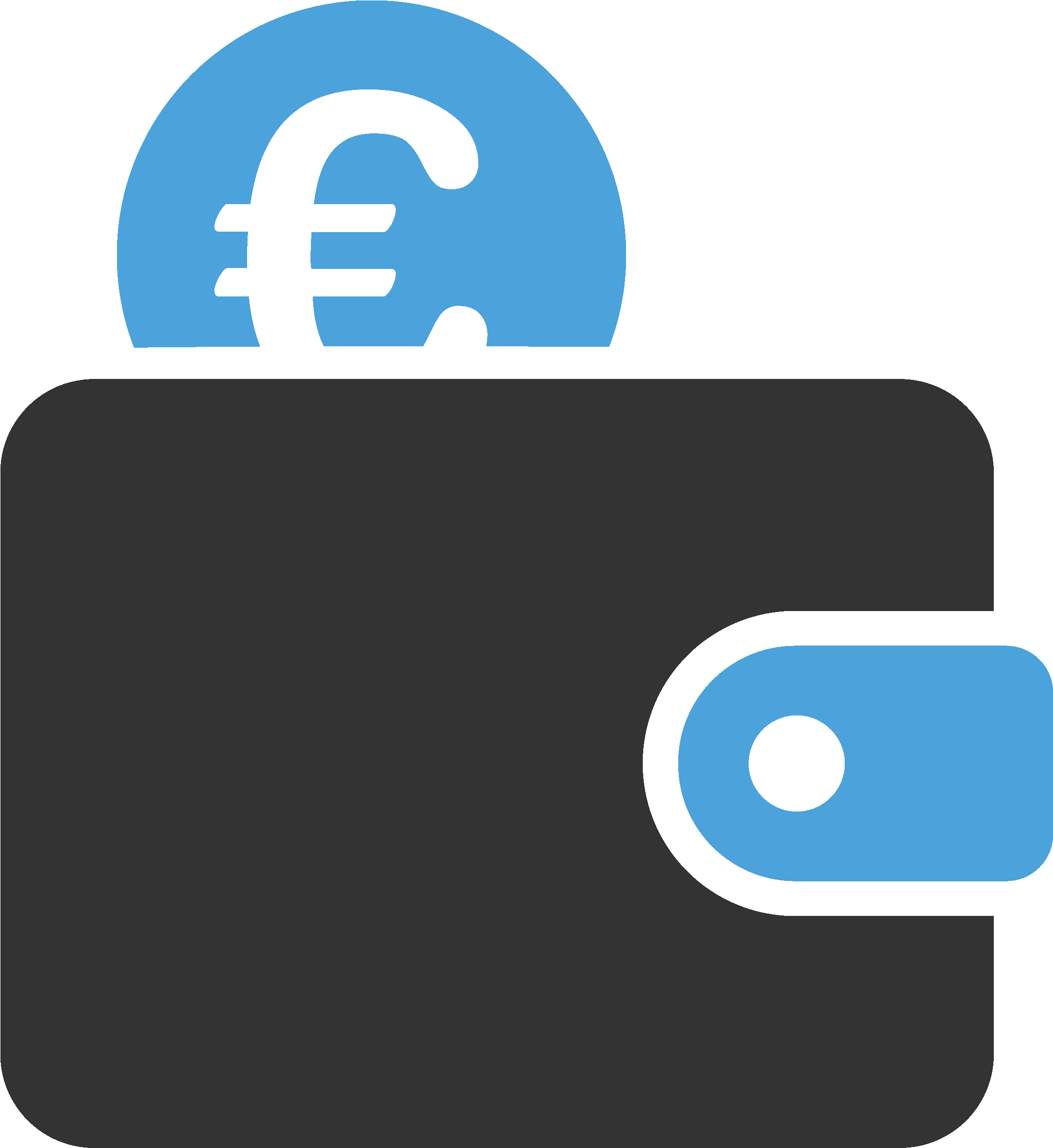 Euro Wallet Icon