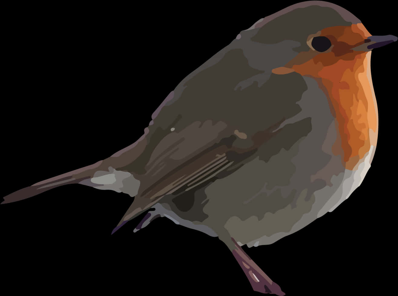 European Robin Illustration