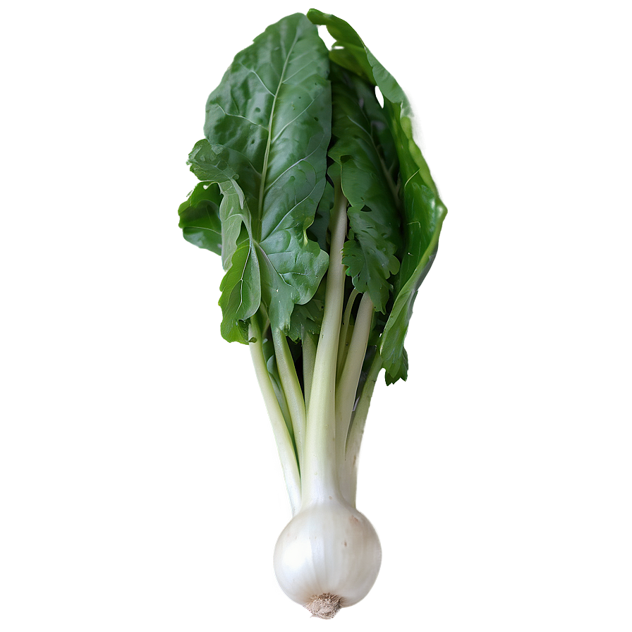 European Vegetables Png 26