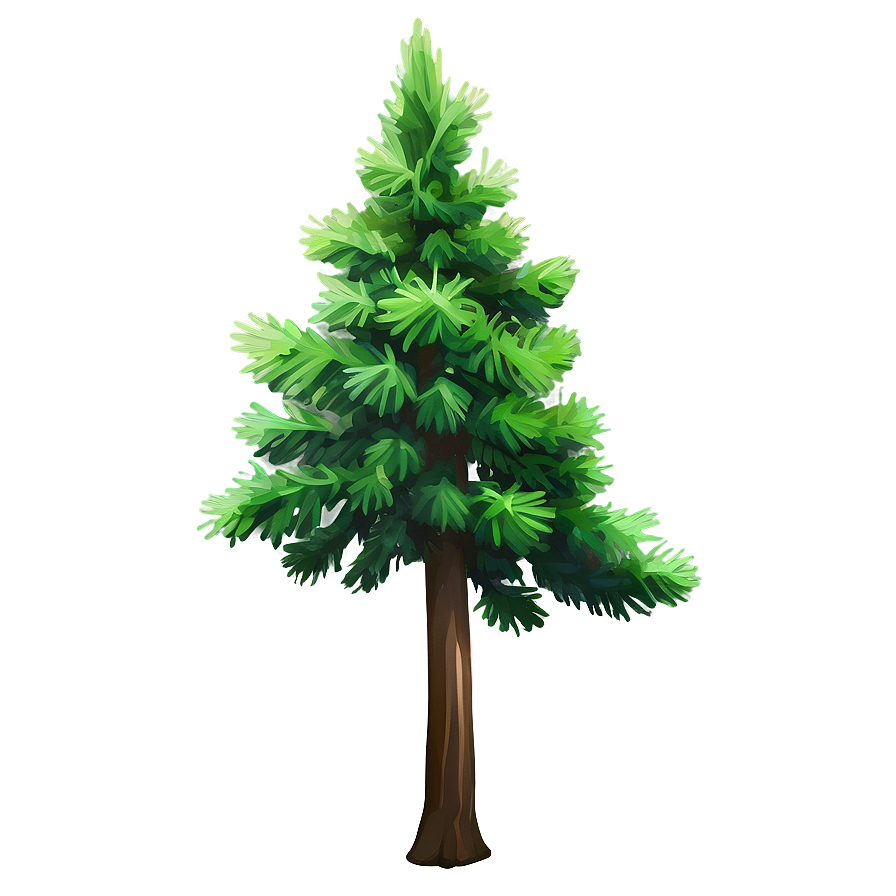 Evergreen Cedar Tree Png 99