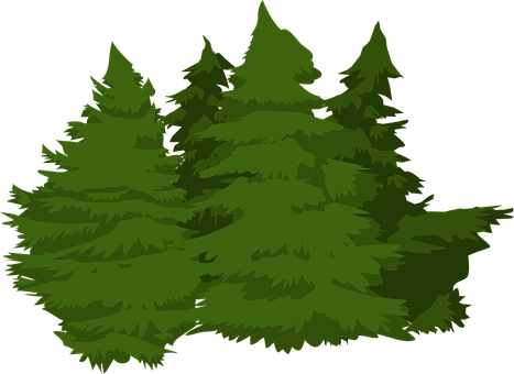 Evergreen Forest Illustration PNG with transparent background