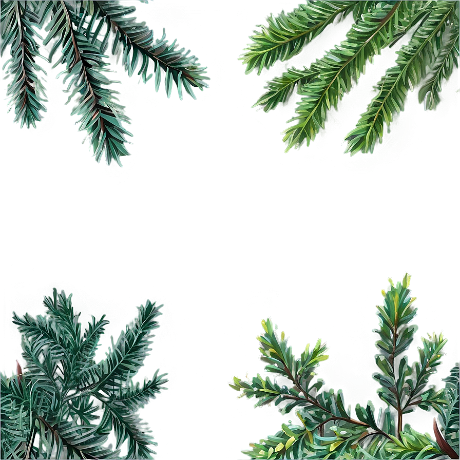 Evergreen Plants Png Ehp