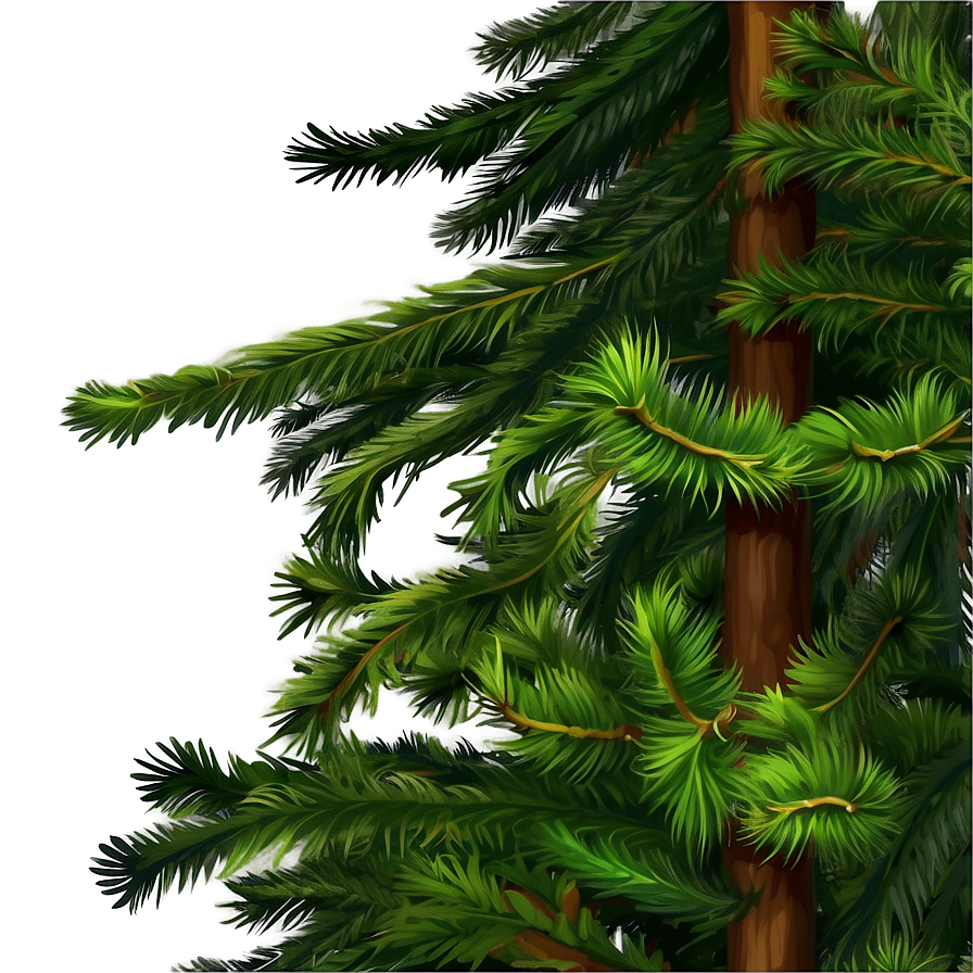 Evergreen Tree Art Png Lix88