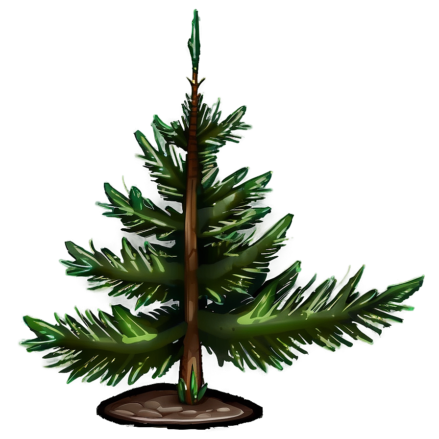 Evergreen Tree Icon Png Iyg