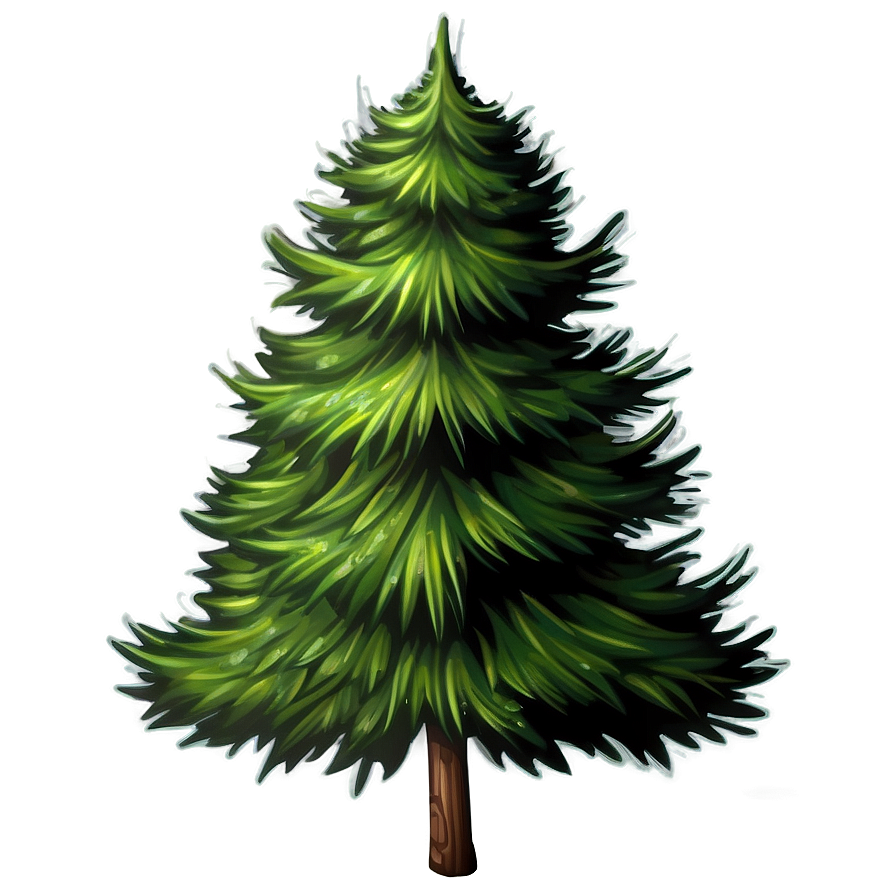 Evergreen Tree Illustration Png 06212024