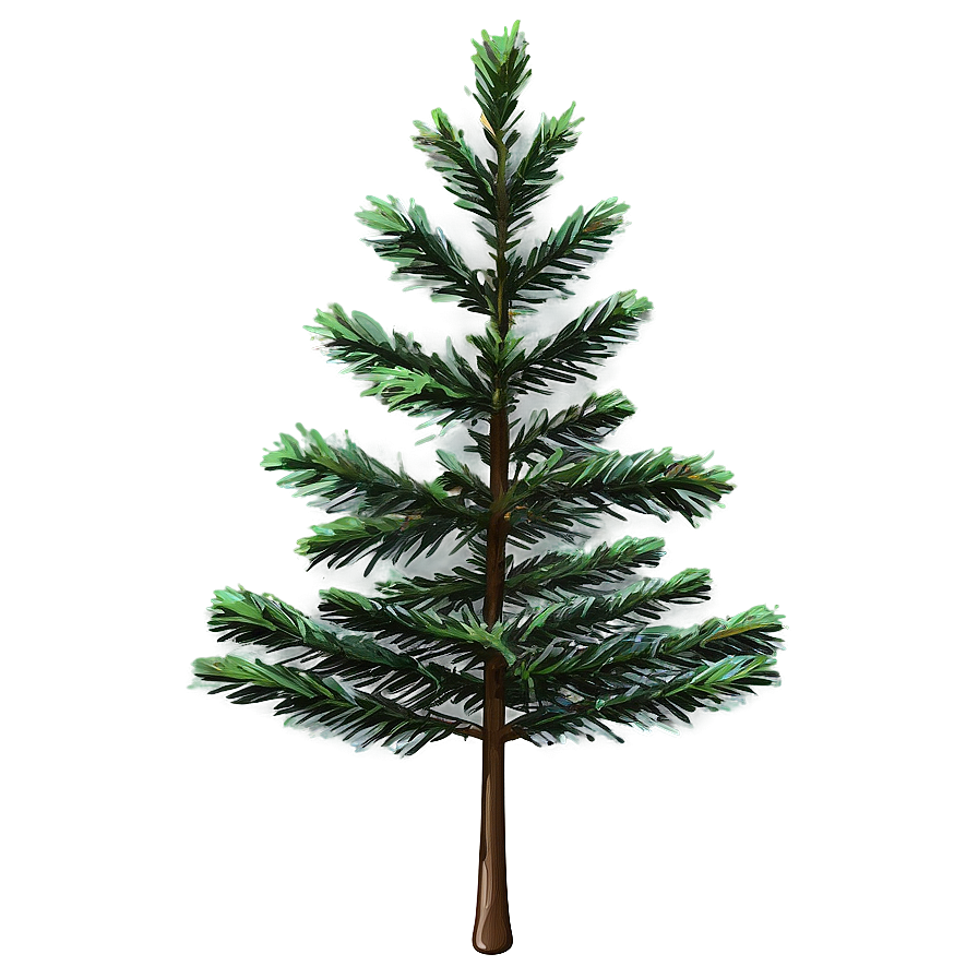 Evergreen Tree In Forest Png Tbl