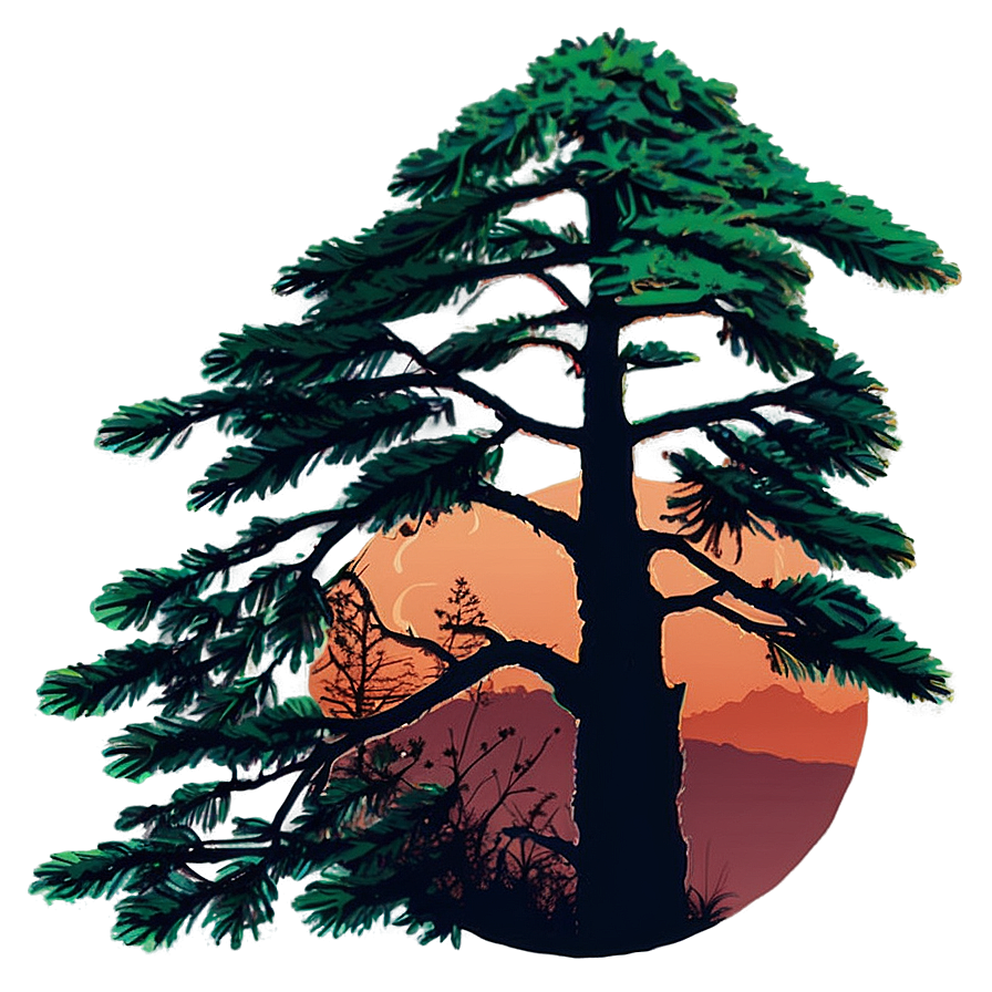 Evergreen Tree Sunset Png Pca