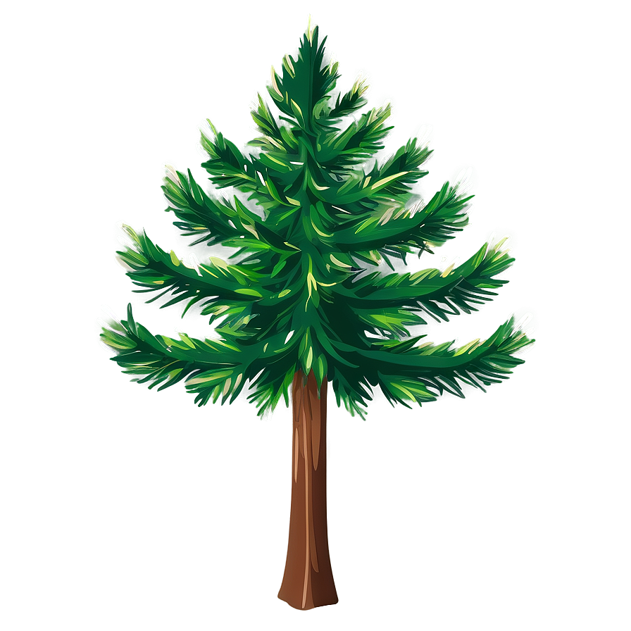 Evergreen Tree Vector Png Vco