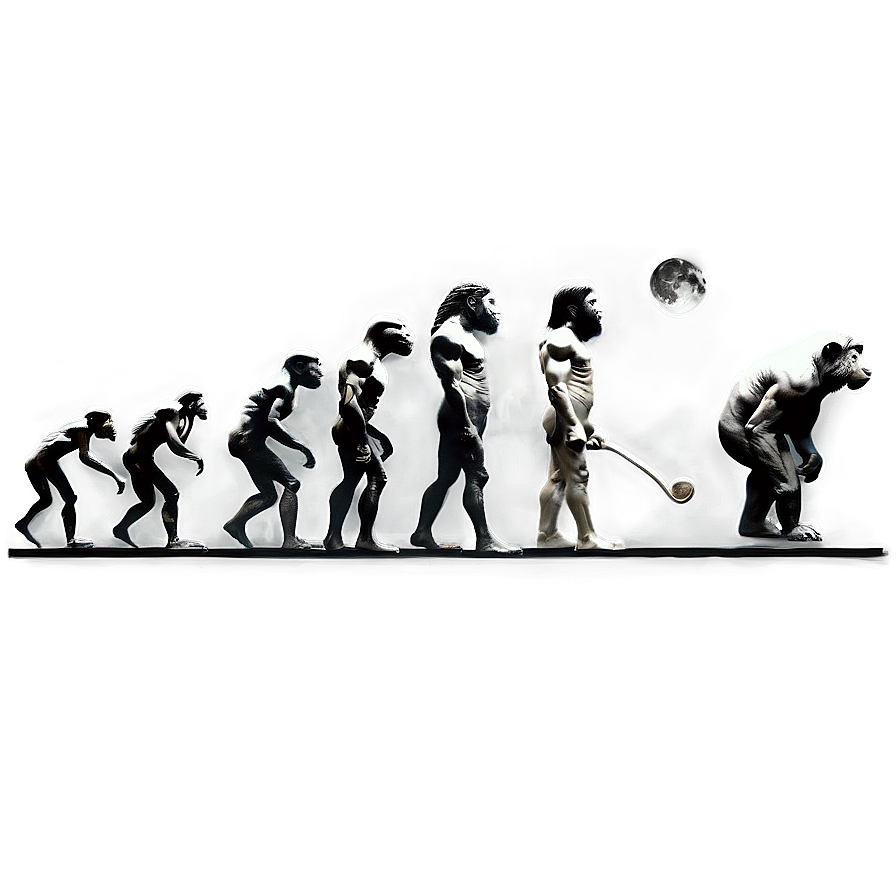 Evolution of Philosophy PNG 06242024 PNG with transparent background