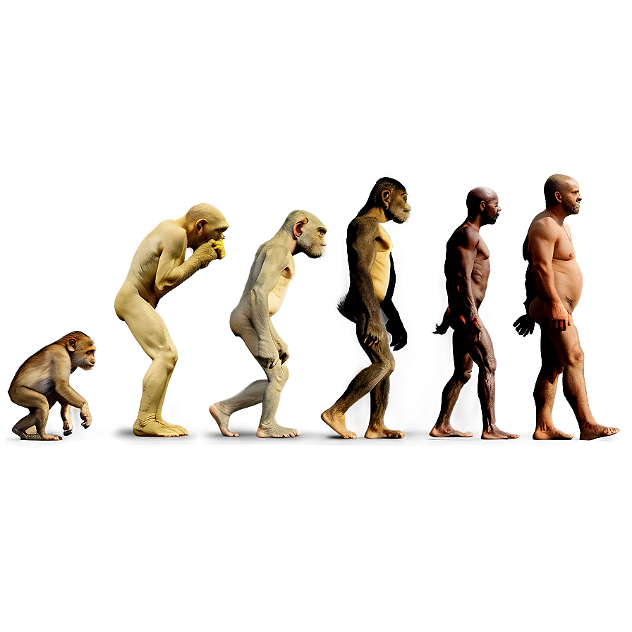 Evolution of Photography PNG 57 PNG with transparent background