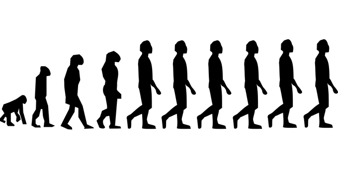 Evolutionary Tree Black Background PNG with transparent background