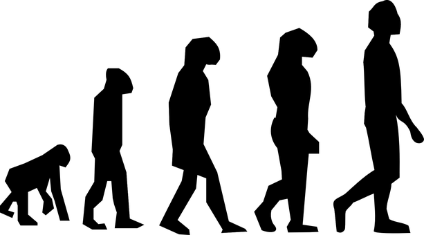 Evolutionary Tree Black Background PNG with transparent background