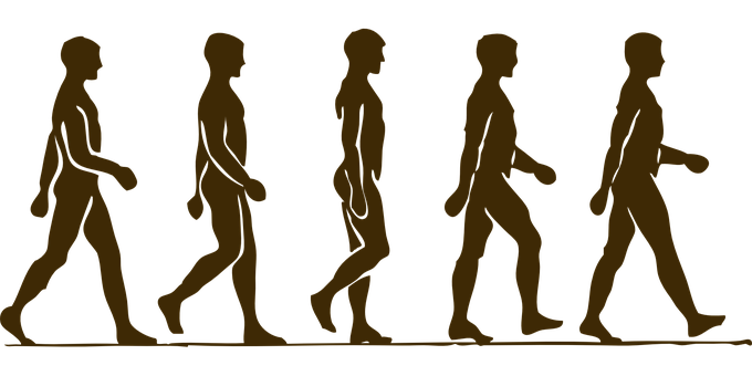 Evolutionof Man Silhouette