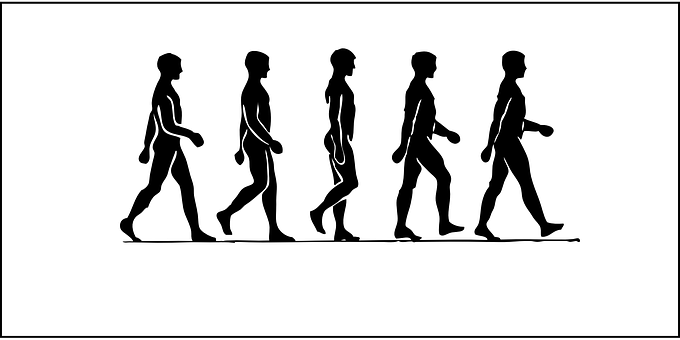 Evolutionof Man Silhouette PNG with transparent background