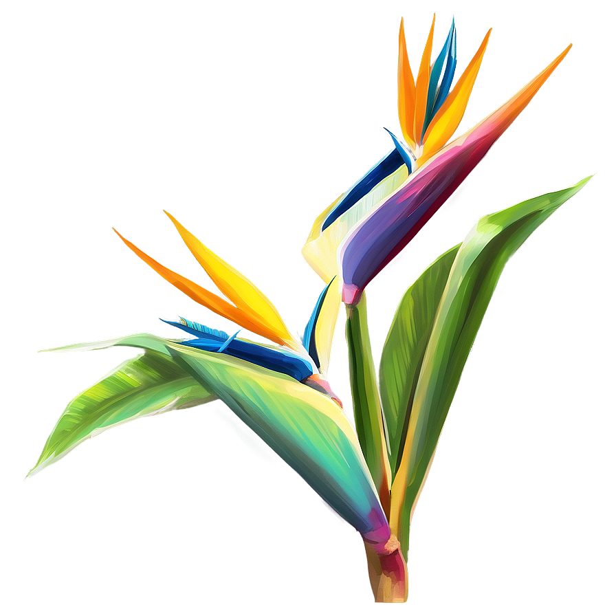 Exotic Bird Of Paradise Plant Png Syc