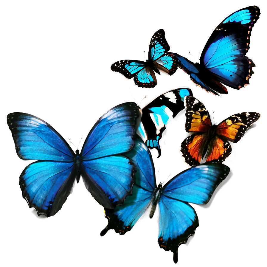 Exotic Blue Butterflies Png 56