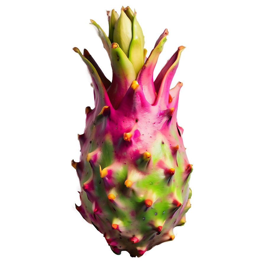 Exotic Dragon Fruit Png 05232024