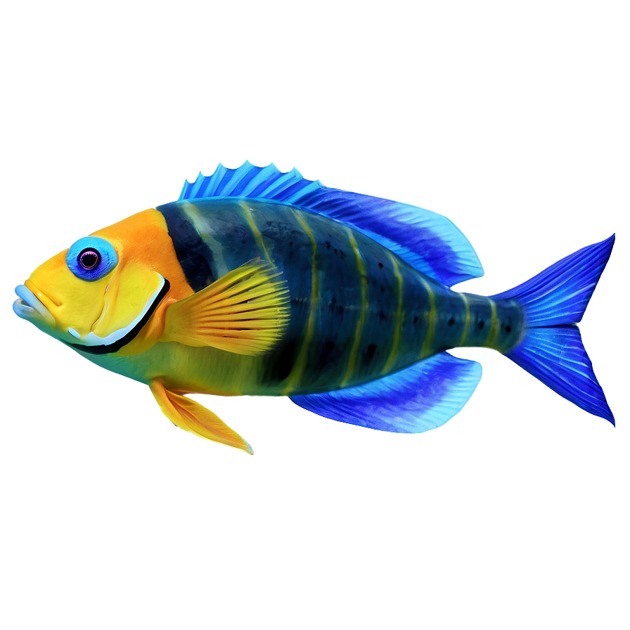 Exotic Fish Png 05062024