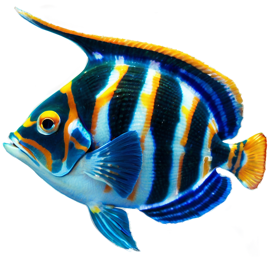 Exotic Fish Species Png 06132024