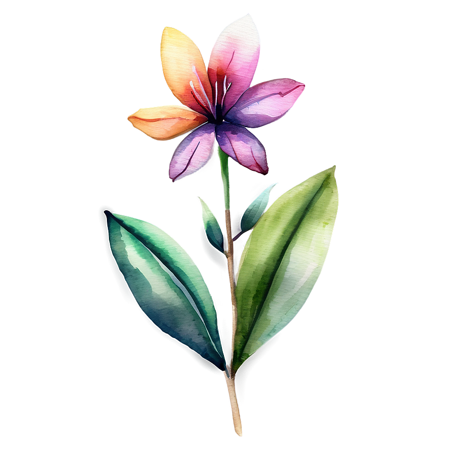 Exotic Flower Watercolor Png Bem