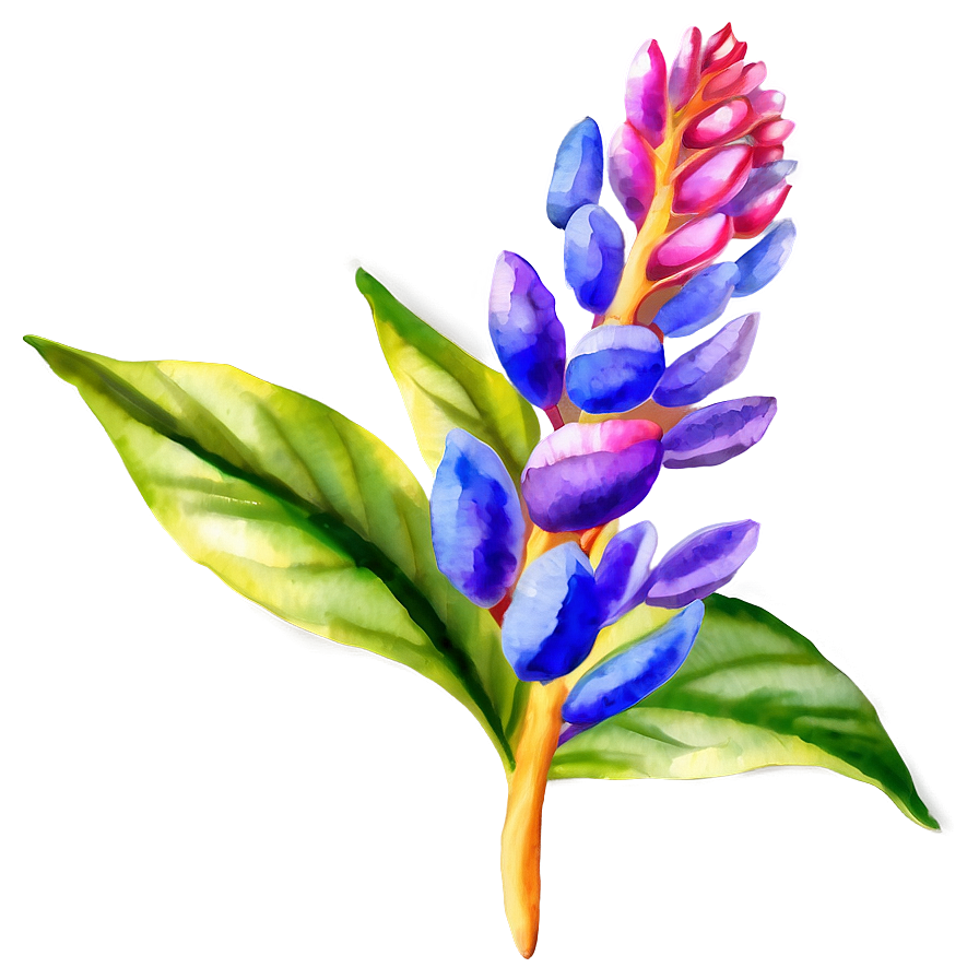 Exotic Flower Watercolor Png Dbn