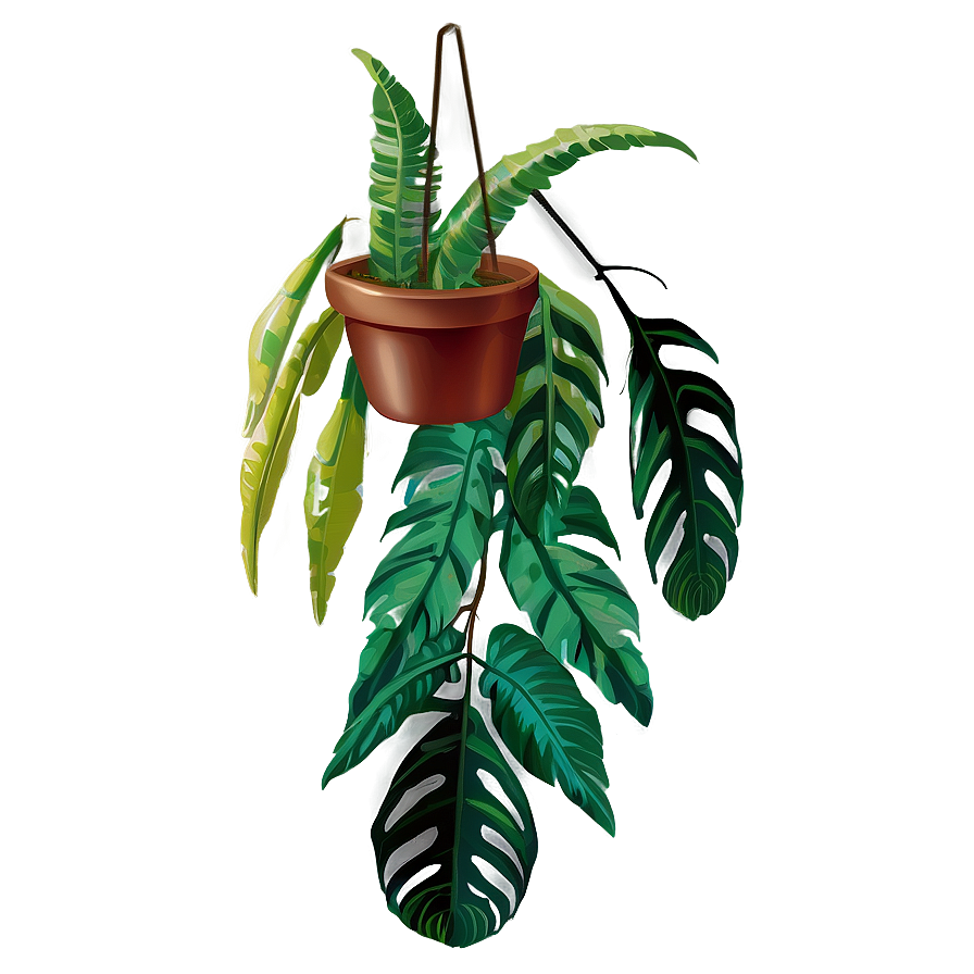 Exotic Hanging Plant Png 05252024