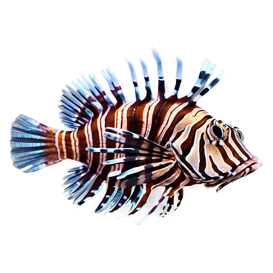 Exotic Lionfish Png 58