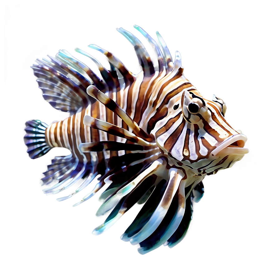 Exotic Lionfish Png Huk92