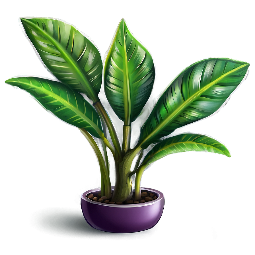 Exotic Plant Png Ehy