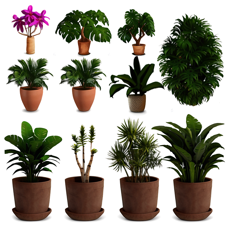 Exotic Potted Plants Collection PNG 06122024 PNG image with a transparent background, free high-resolution download