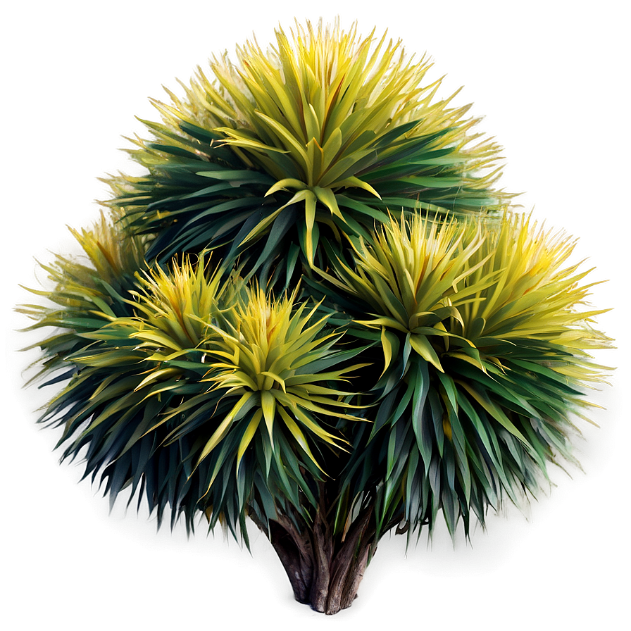 Exotic Shrub Png Hwh11