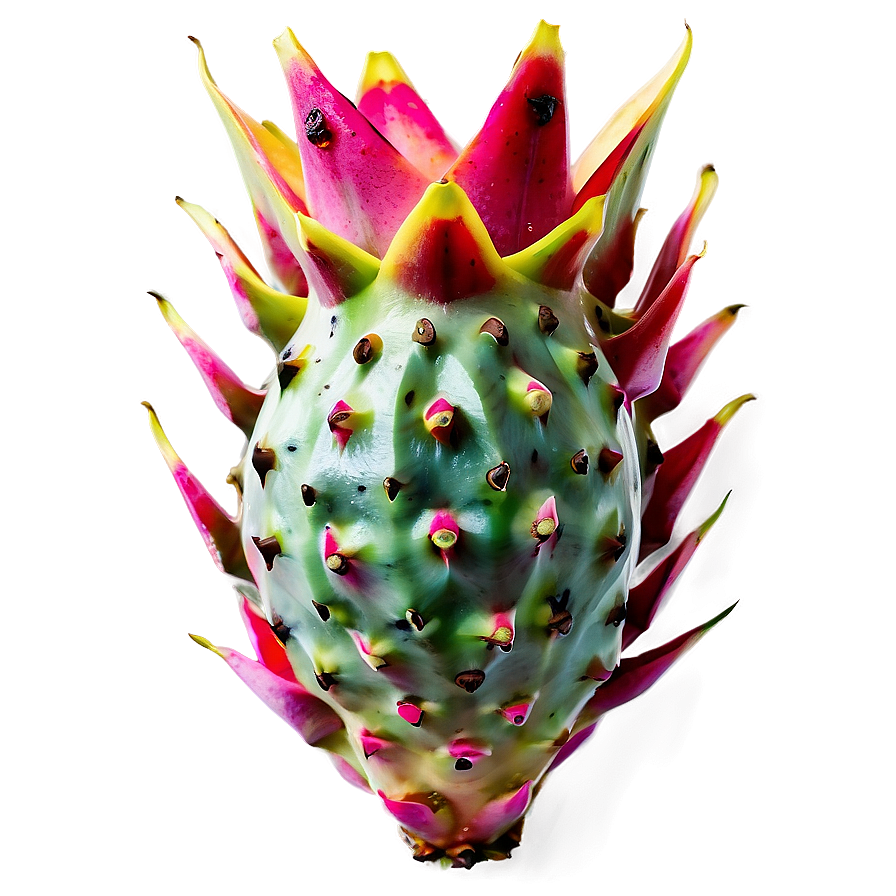 Exotic Tropical Dragonfruit Png Duf