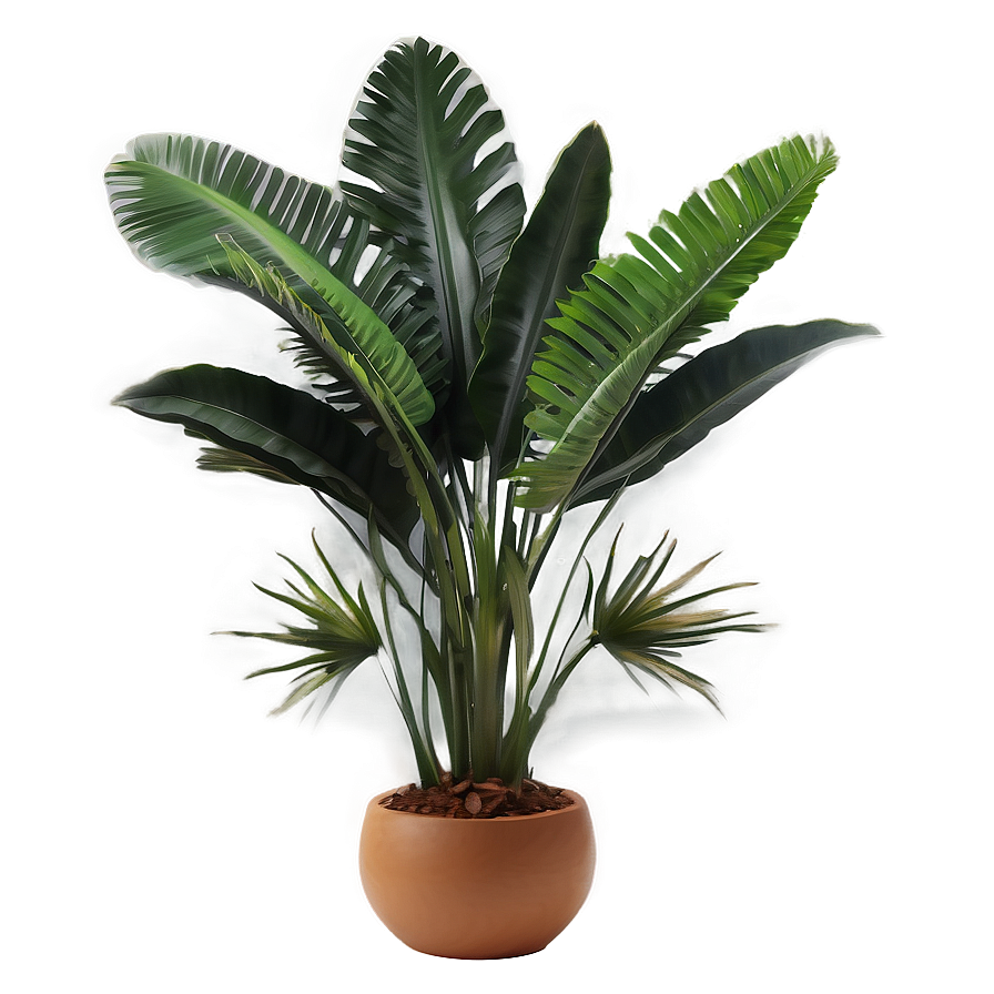 Exotic Tropical Plant Png 69