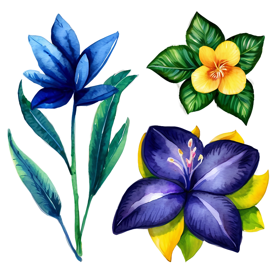 Exotic Watercolor Flowers Png Ewd