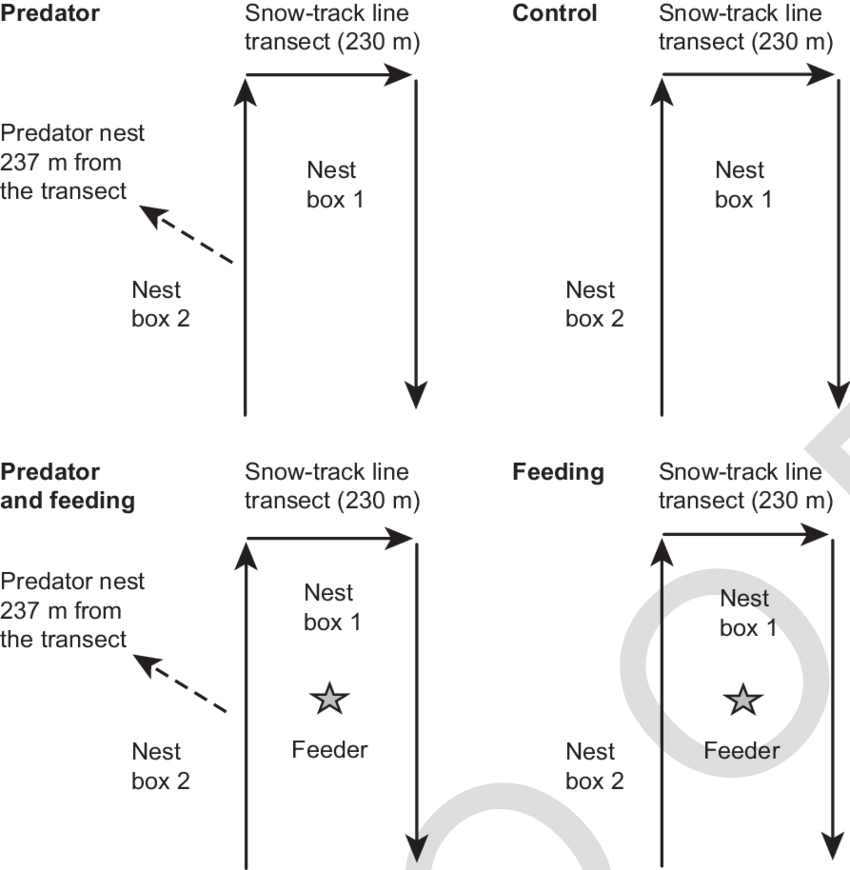 Experimental Set-up Used In The Study PNG image with a transparent background, free high-resolution download