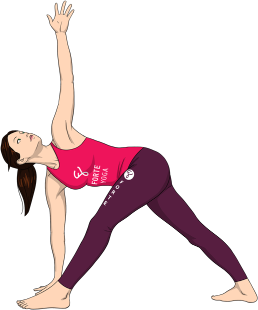 Parivrtta Trikonasana Forte Yoga, HD Png Download PNG with transparent background