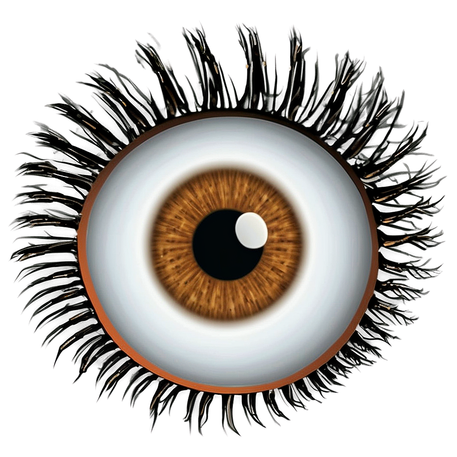 Eye Lashes Png 92