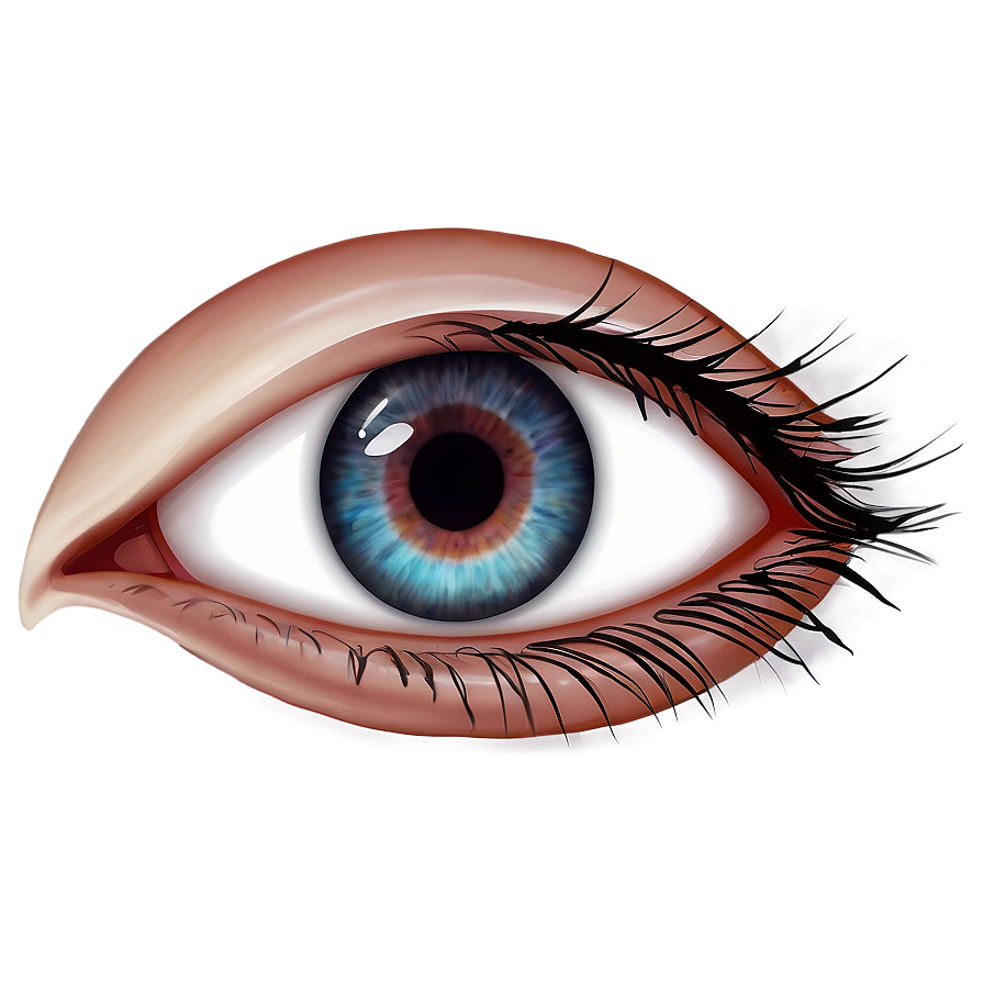 Eye Outline Png Lxt