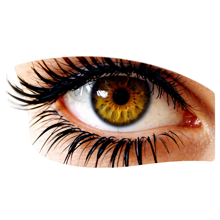 Eyelash Sticker Png 05252024