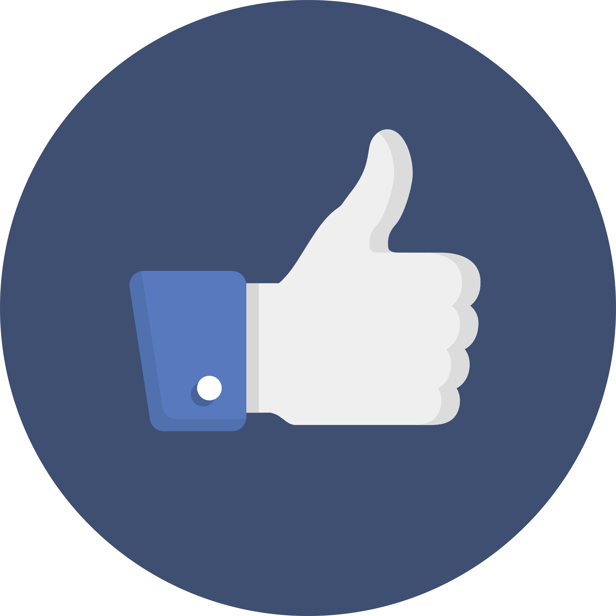 Facebook Like Icon