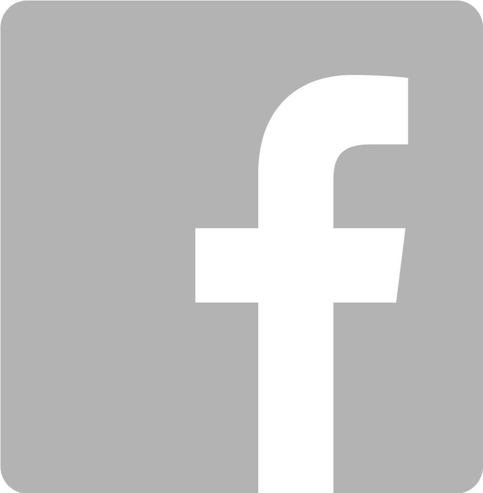 Facebook Logo Classic Icon