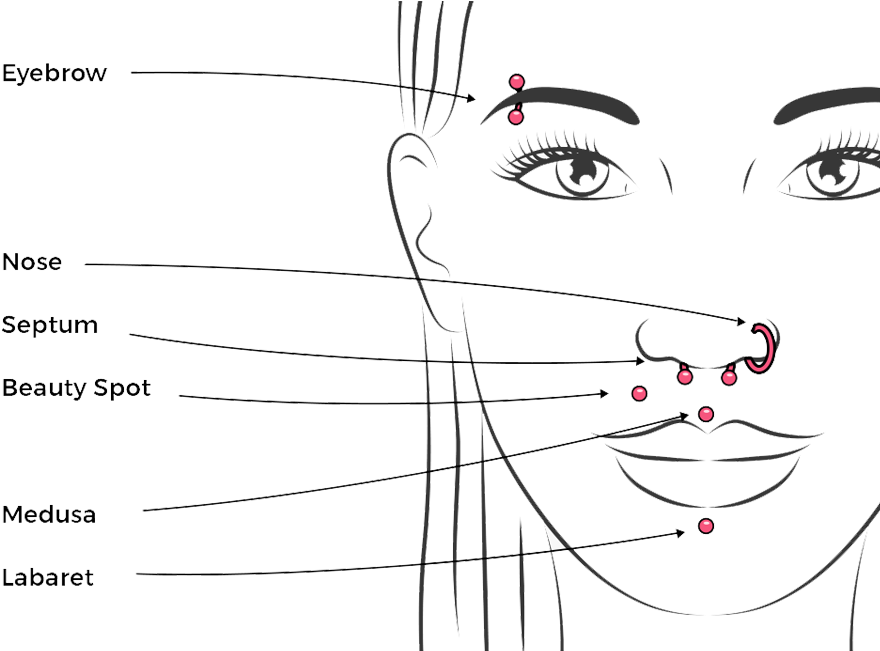 Facial Piercing Placement Guide